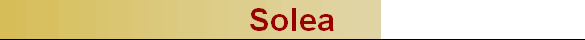 Solea